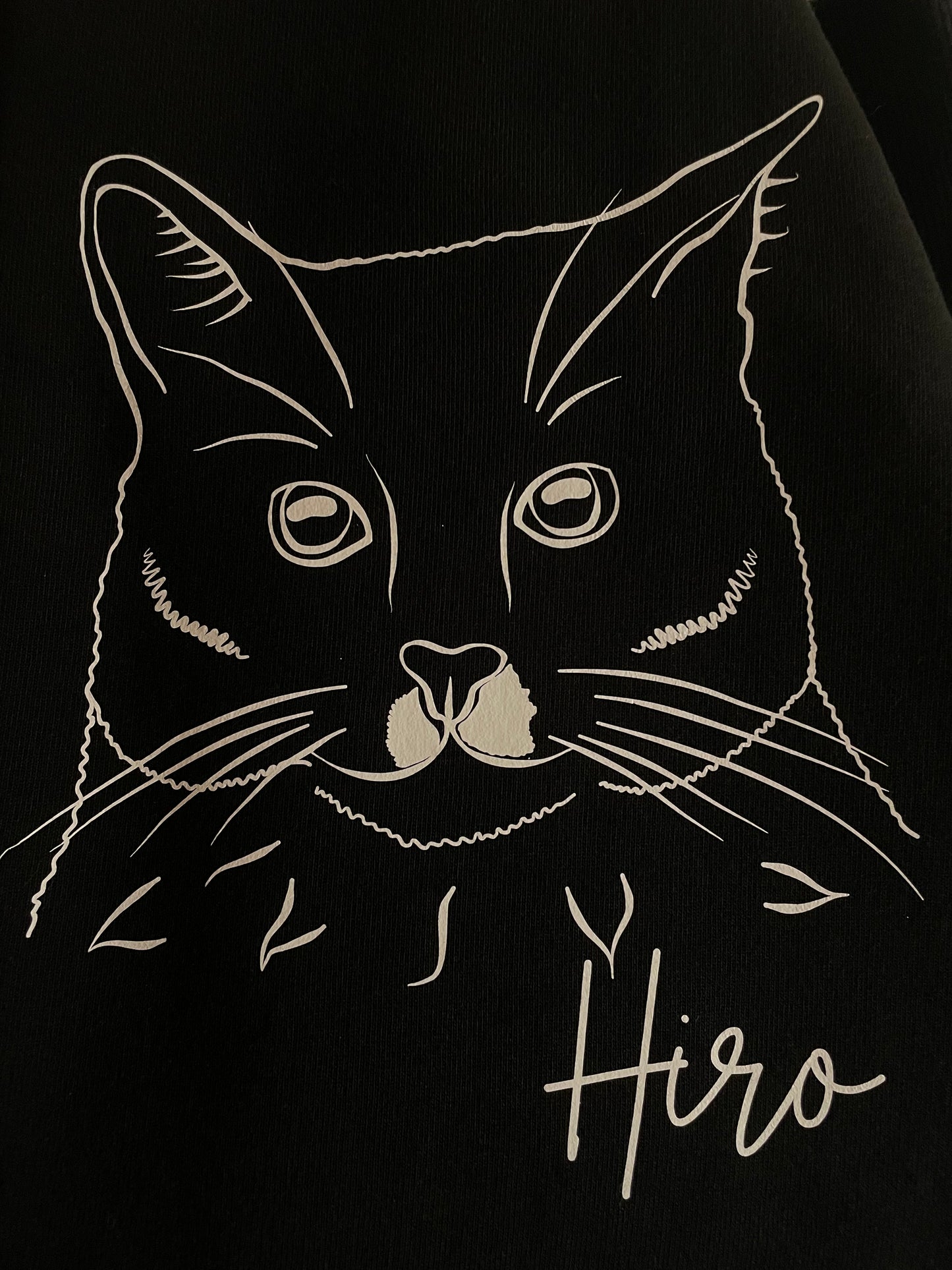 Pusa enda lemmikloomaga