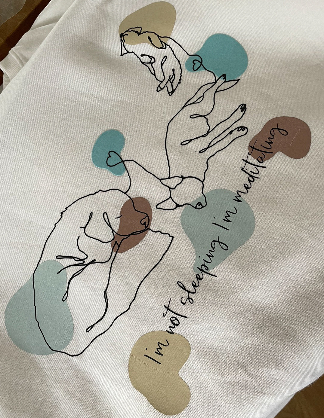 Pusa "I'm not sleeping, I'm meditating"