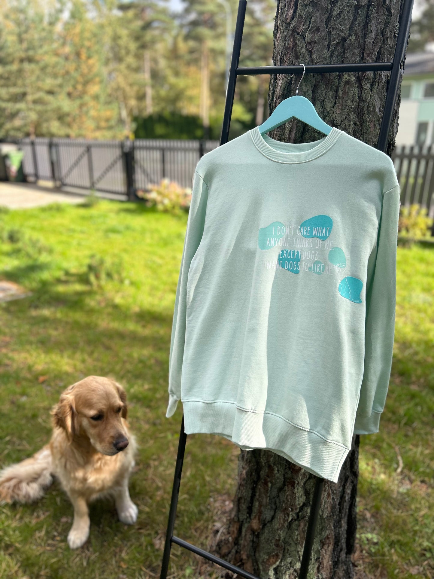 Pusa "I don't care what anyone thinks of me. Except dogs. I want dogs to like me"